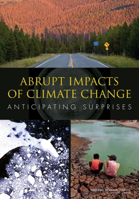 Abrupt Impacts of Climate Change : Anticipating Surprises, EPUB eBook