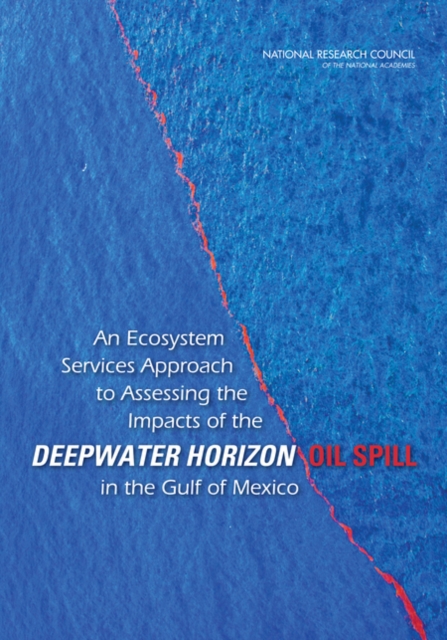 An Ecosystem Services Approach to Assessing the Impacts of the Deepwater Horizon Oil Spill in the Gulf of Mexico, Paperback / softback Book