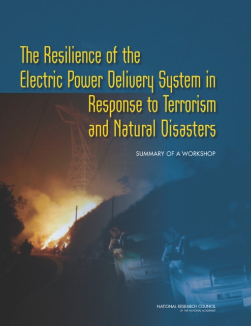 The Resilience of the Electric Power Delivery System in Response to Terrorism and Natural Disasters : Summary of a Workshop, PDF eBook