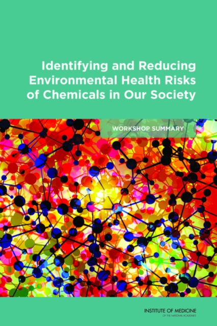 Identifying and Reducing Environmental Health Risks of Chemicals in Our Society : Workshop Summary, PDF eBook