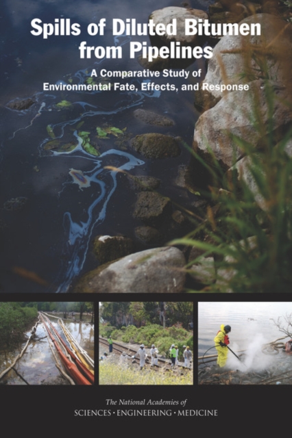 Spills of Diluted Bitumen from Pipelines : A Comparative Study of Environmental Fate, Effects, and Response, PDF eBook