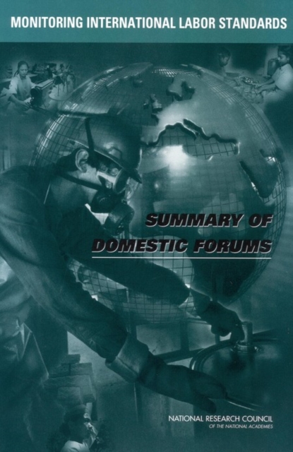 Monitoring International Labor Standards : Summary of Domestic Forums, PDF eBook