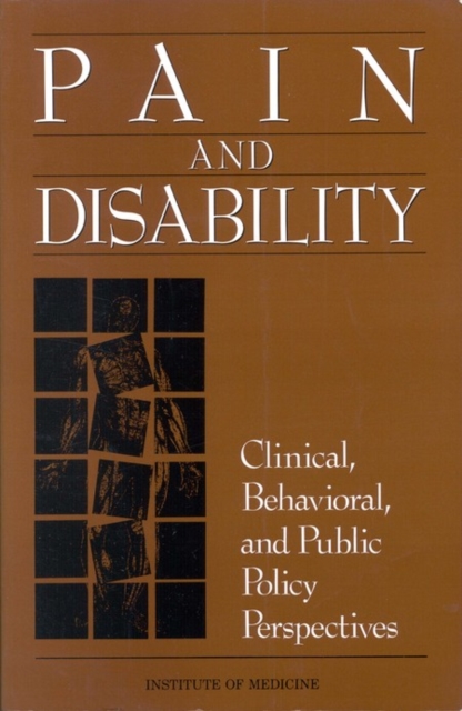 Pain and Disability : Clinical, Behavioral, and Public Policy Perspectives, PDF eBook