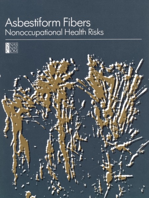 Asbestiform Fibers : Nonoccupational Health Risks, PDF eBook