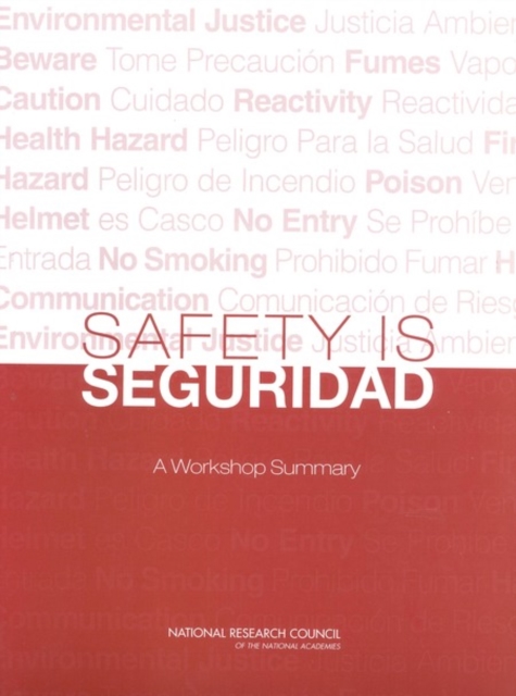 Safety is Seguridad : A Workshop Summary, PDF eBook