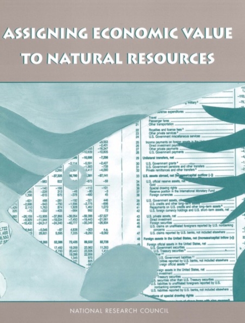 Assigning Economic Value to Natural Resources, PDF eBook