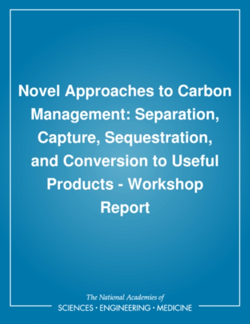 Novel Approaches to Carbon Management : Separation, Capture, Sequestration, and Conversion to Useful Products: Workshop Report, PDF eBook