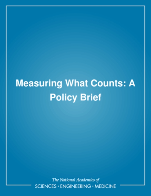 Measuring What Counts : A Policy Brief, PDF eBook