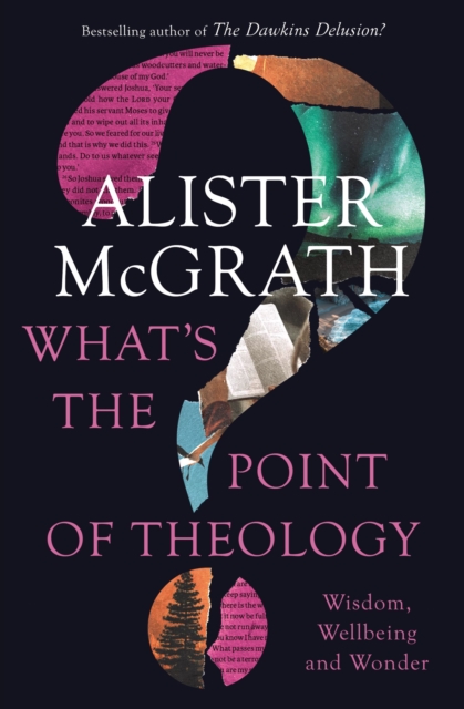 What's the Point of Theology? : Wisdom, Wellbeing and Wonder, Paperback Book