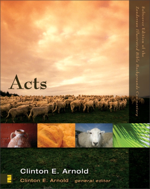 Acts : Volume 2B, Paperback / softback Book