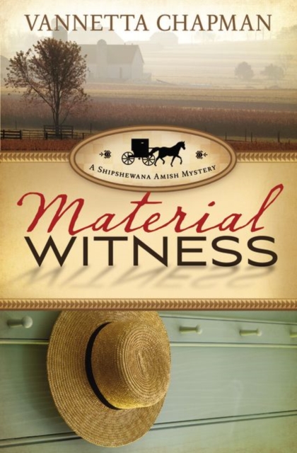 Material Witness, Paperback / softback Book