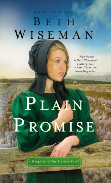 Plain Promise, Paperback / softback Book
