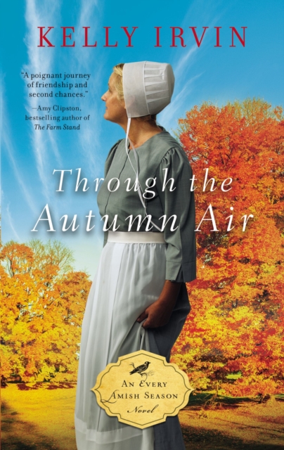 Through the Autumn Air, Paperback / softback Book