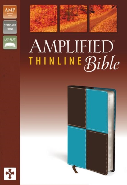 Amplified Thinline Bible, Other book format Book