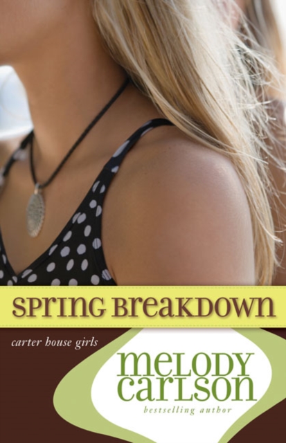 Spring Breakdown, Paperback Book