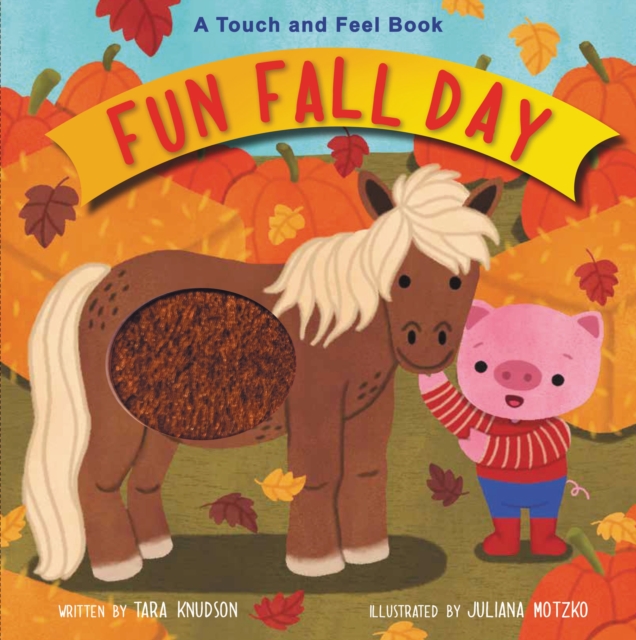 Fun Fall Day : A Touch and Feel Board Book, Board book Book