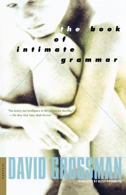 The Book of Intimate Grammar : A Novel, Paperback / softback Book