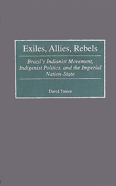 Exiles, Allies, Rebels : Brazil's Indianist Movement, Indigenist Politics, and the Imperial Nation-State, PDF eBook