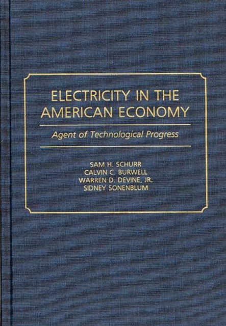 Electricity in the American Economy : Agent of Technological Progress, PDF eBook