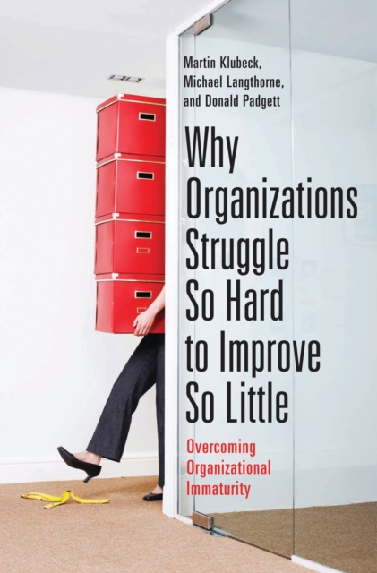 Why Organizations Struggle So Hard to Improve So Little : Overcoming Organizational Immaturity, PDF eBook