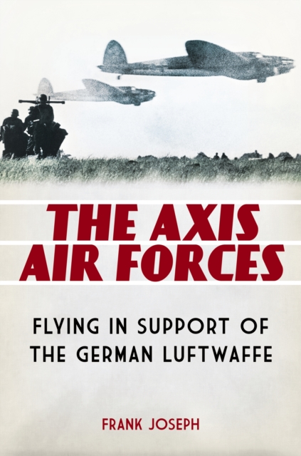 The Axis Air Forces : Flying in Support of the German Luftwaffe, PDF eBook