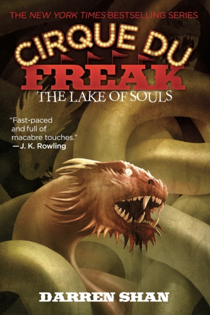 The Lake of Souls : Book 10 in the Saga of Darren Shan, Paperback / softback Book