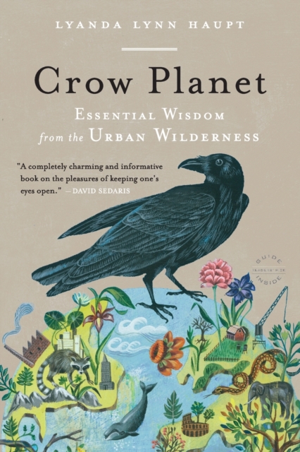 Crow Planet : Essential Wisdom from the Urban Wilderness, Paperback / softback Book