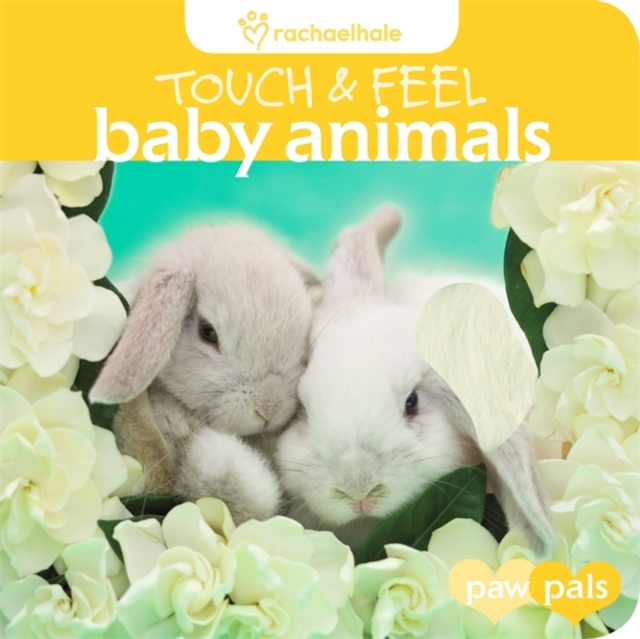 Touch and Feel: Baby Animals, Hardback Book