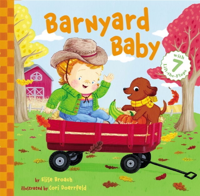 Barnyard Baby, Hardback Book