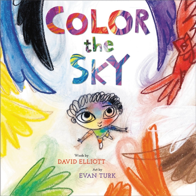 Color the Sky, Hardback Book