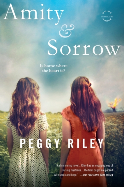 Amity & Sorrow, Paperback / softback Book