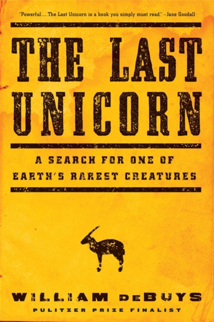 The Last Unicorn : A Search for One of Earth's Rarest Creatures, Paperback / softback Book