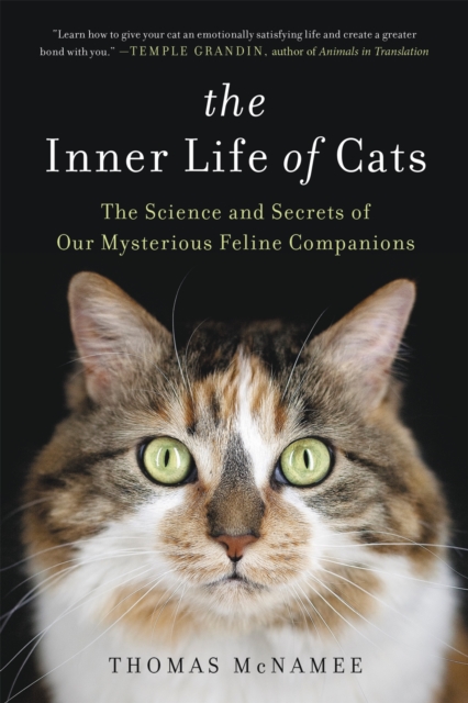 The Inner Life of Cats : The Science and Secrets of Our Mysterious Feline Companions, Paperback / softback Book