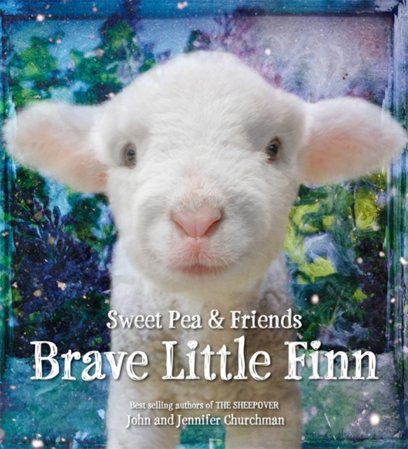 Brave Little Finn, Hardback Book