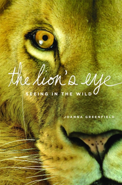 The Lion's Eye : Seeing in the Wild, Hardback Book