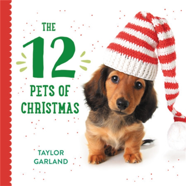The Twelve Pets of Christmas, Hardback Book