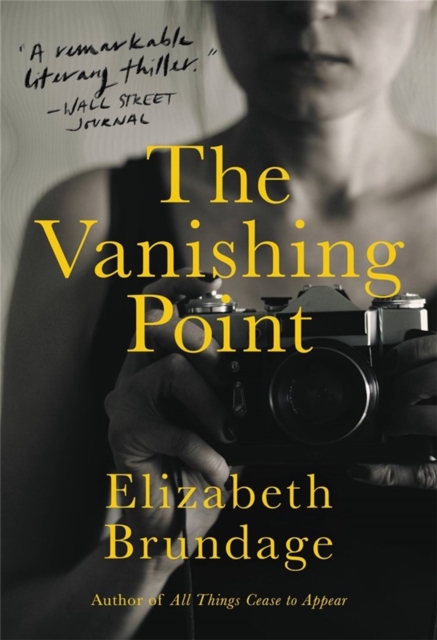 The Vanishing Point : A Novel, Paperback / softback Book