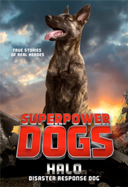 Superpower Dogs: Halo : Disaster Response Dog, Paperback / softback Book