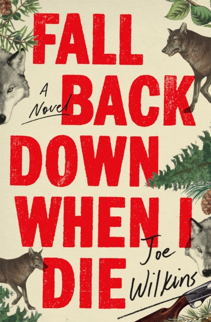 Fall Back Down When I Die, Paperback / softback Book