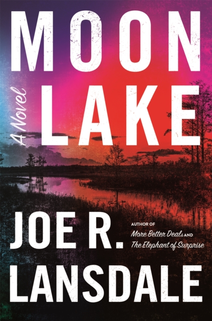 Moon Lake, Hardback Book