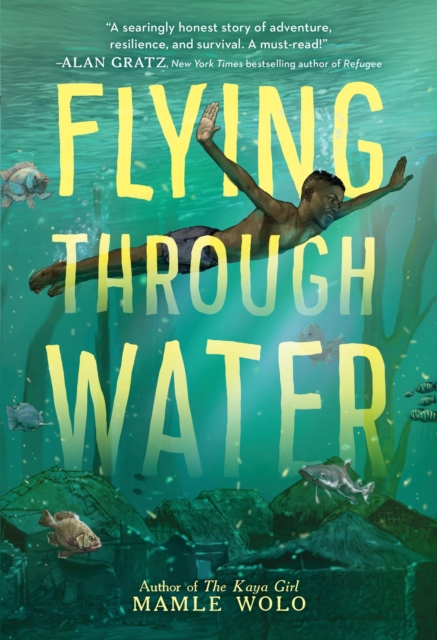 Flying through Water, Hardback Book