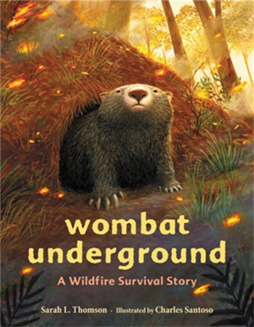 Wombat Underground : A Wildfire Survival Story, Hardback Book