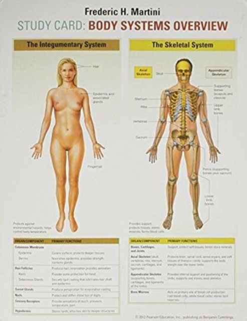 Study Card for Martini : Body Systems Overview, Cards Book