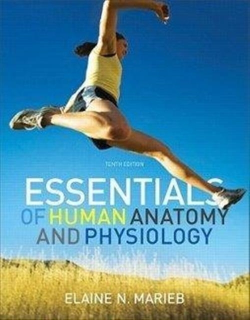 Essentials of Interactive Physiology CD-ROM for Essentials of Human Anatomy and Physiology, CD-ROM Book