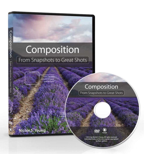 Composition : From Snapshots to Great Shots (DVD), DVD-ROM Book