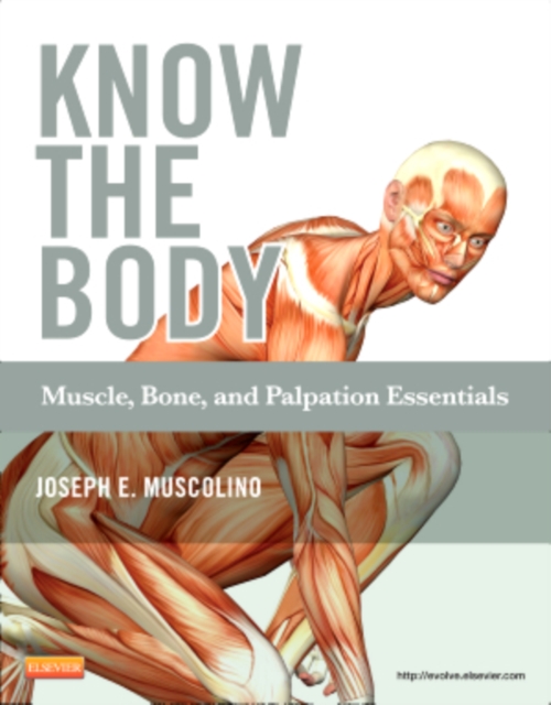Know the Body: Muscle, Bone, and Palpation Essentials, Paperback / softback Book