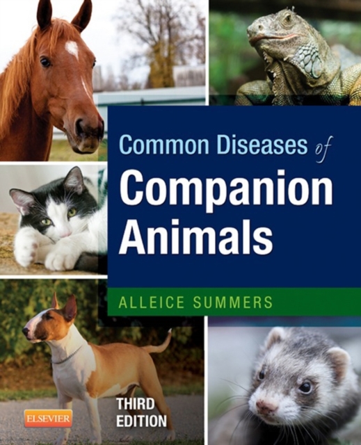 Common Diseases of Companion Animals, Paperback / softback Book