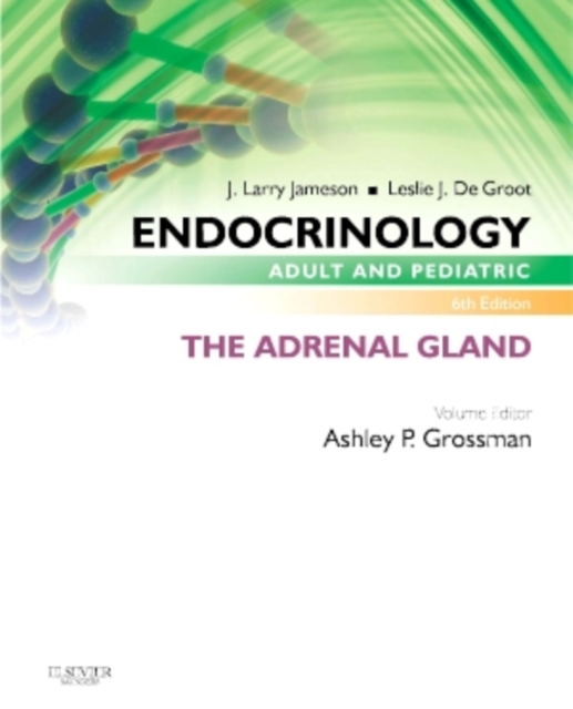 Endocrinology Adult and Pediatric: The Adrenal Gland, Paperback / softback Book