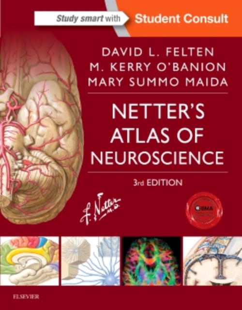 Netter's Atlas of Neuroscience, Paperback / softback Book