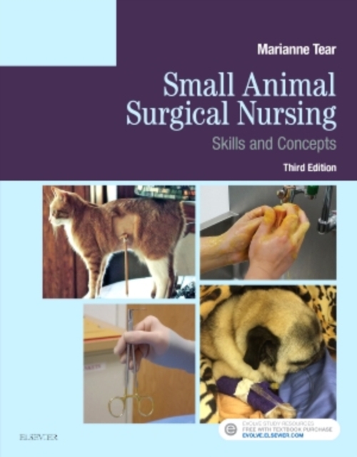Small Animal Surgical Nursing, Paperback / softback Book